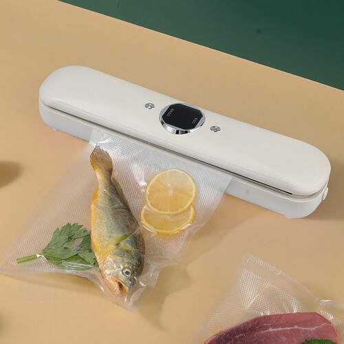 Machine de mise sous vide pour la conservation des aliments avec 10 sacs