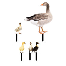 Lot de 5 statues de poules pour jardin, en acrylique résistant aux intempéries, pour l'extérieur.