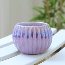 Pot de fleurs rond en céramique émaillée en forme de citrouille pour plantes succulentes1