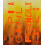 Pia Camil Friendly Fires Hardcover Book 1