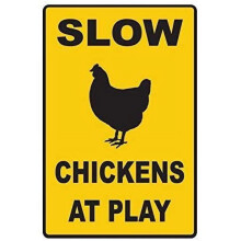 Slow Chickens at Play Traffic Sign 12x16 Tin Metal Outdoor