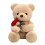 Teddy Bear with Rose Valentine's Gift Plush Toy 1