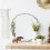 Decorative Wall Mirror Irregular Wavy Modern Black 50cm — wavy mirror, black wall mirror, modern mirror 3