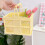 Picnic Basket Foldable 7 Inch Pink Ventilated Portable 5