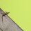 Covor reptile terariu așternut 12x24inch 4