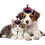 Halloween Heksehat til Katte og Hunde Gul Sort Blonde 6