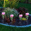 Solar Garden Lights LED Rose Design 6 Pack 8