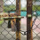 Gate Chain Lock Stainless Steel 100 cm 2 pcs 3