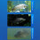 Underwater Fishing Camera 220 Wide Angle 98ft Cable IR 5