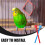 NICEXMAS Parrot Perches Plastic Stand Rods 12Pcs 3