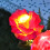 Solar Garden Lights LED Rose Design 6 Pack 7