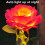Solar Garden Lights LED Rose Design 6 Pack 8