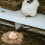 Poultry Bedding Set Shredded Straw 10 lb 2