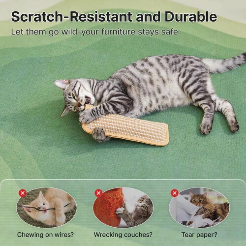 Μαξιλάρι παιχνιδιού Catnip Kicker για γατάκια με δακτυλίους οδοντοφυΐας 2
