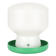 Automatic Bird Drinking Fountain with Green Cover and White