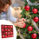 Christmas Ornaments Blue Gold Shatterproof 16 pcs 1