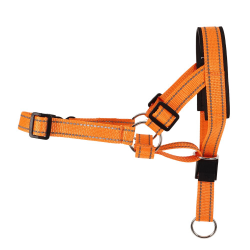 MUSEYA Nylon Dog Muzzle Orange for Outdoor Walks 1 Set 2