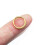 Titanium neusring met micro-zirkonia 4