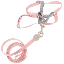 Cat Leash and Harness Set Small Outdoor Walking Rope