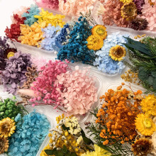 Tørkede blomstersett Naturlige bulk evige blomster for