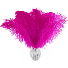 Ostrich Feathers Natural White 20 pcs 10-12 inch