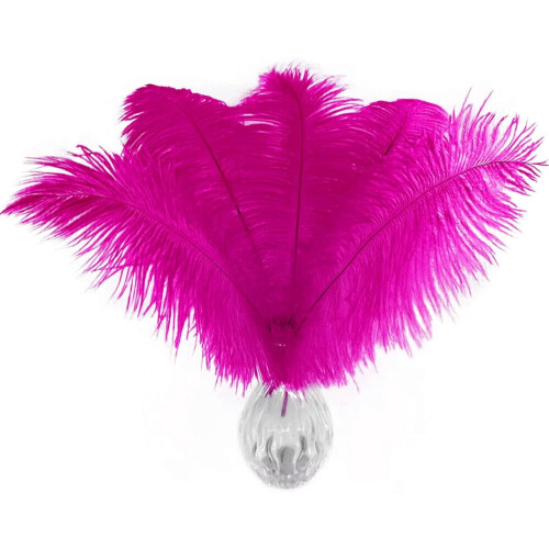 Ostrich Feathers Natural White 20 pcs 10-12 inch