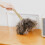 Beechwood Handle Feather Duster for Furniture Cleaning, 5