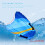 Inflatable Surfboard Lightweight Bodyboard PVC 1pc 3