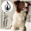 MUSEYA Pet Bath Tether Adjustable Dog Shower Attachment 8