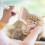 Stainless Steel Pet Deshedding Comb with Release Button 4