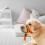 MUSEYA Nylon Dog Muzzle Orange for Outdoor Walks 1 Set 7