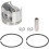 46mm Cylinder Piston and Ring Kit for 028 028AV 028 Super Q 7