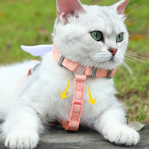 Cat Harness and Leash Adjustable Escape-Proof Cartoon Wing 2