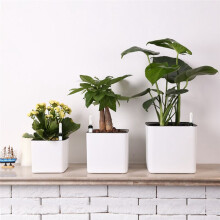 5PCS Water Level Meter Buoy Water Shortage Reminder Greenhouse Plant Water Level Indicator Indoor Soil Moisture Meter