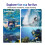 Diving Filter for  Ace Pro/Ace Pro2 Waterproof Fogproof Diving Filter for  Ace Pro 2 Action Camera A 5