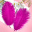 Ostrich Feathers Natural White 20 pcs 10-12 inch 3
