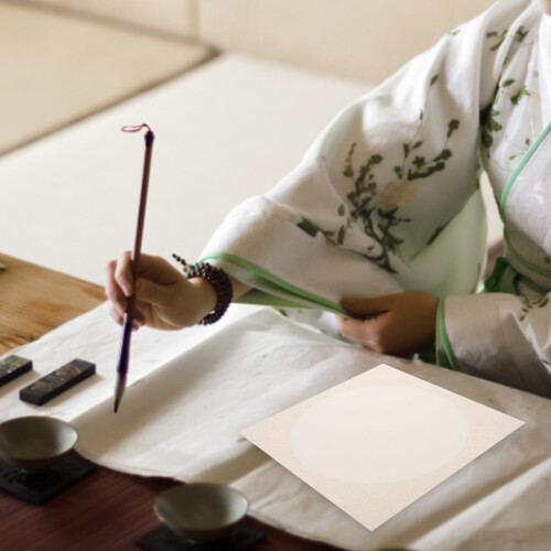 Rice Paper for Calligraphy Blank Xuan Paper 10 Sheets 2