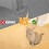 Mattskydd för Husdjur,Kattmattskydd,Underdörrmatta Kattmattaskrapstoppare,Kattskrapskyddsmatta 3ft 5