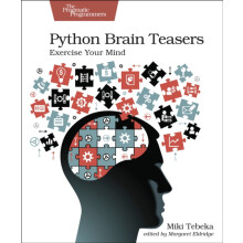 Python Brain Teasers Exercise Your Mind by Miki Tebeka Paperback Book