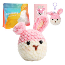 Beginner Crochet Kit with Yarn Hook and Step-by-Step Videos