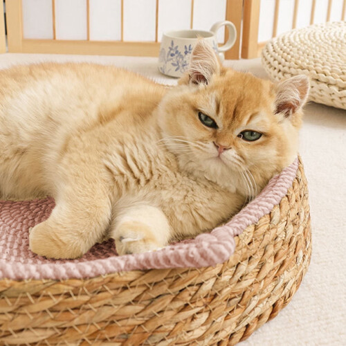 Hand Woven Rattan Pet Bed for Small Medium Dogs Cats
