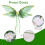 Thin Cicada Wing Costume Accessory Adjustable Set 1