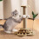 Cat Scratching Board and Climbing Frame with Sisal Post Toy 1