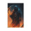 Grim Reaper On Fire Light Switch Cover 1-Gang 1