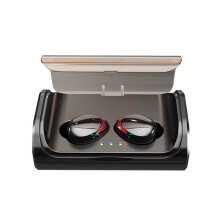 Bluetooth 5.0 Wireless Headphones with Charging Case