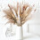 Pampas Grass Bouquet Natural Dried 100 PCS 1