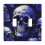 2 Gang Double Toggle Wall Plate with Skull Design 1