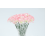 Œillets artificiels pour décoration de mariage (24 pièces) 1