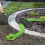 Remote-Controlled Rattlesnake Toy - Realistic and Durable 6