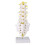 Human Lumbar Spine Model Educational Teaching Tool 6